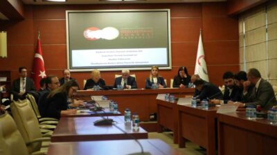 Nallıhan'daki Çayırhan Termik Santrali ve maden sahaları 20 milyar liraya