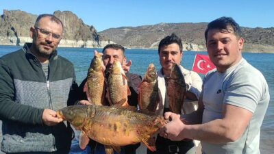 Çekerek Barajı’nda dev sazan yakalayan balıkçılar, ağlarını topladıklarında büyük bir