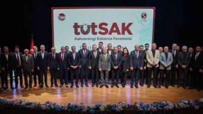 Kahverengi kokarca istilasına karşı Sakarya Üniversitesi'nde geliştirilen yerli feromon tuzakları