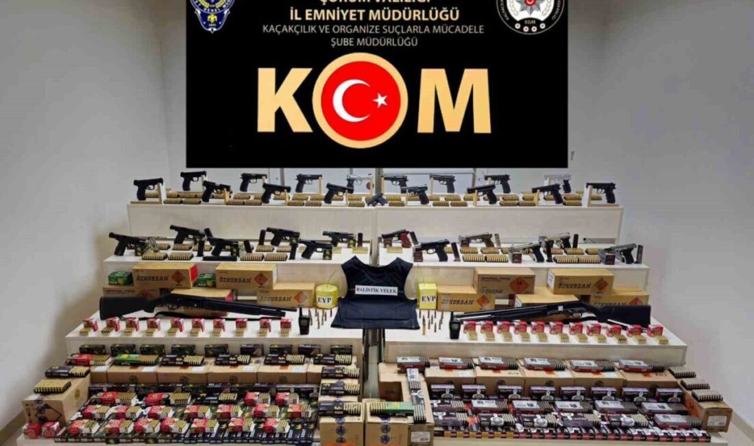 Çorum merkezli 30 ilde düzenlenen silah kaçakçılığı operasyonunda 79 şahıstan