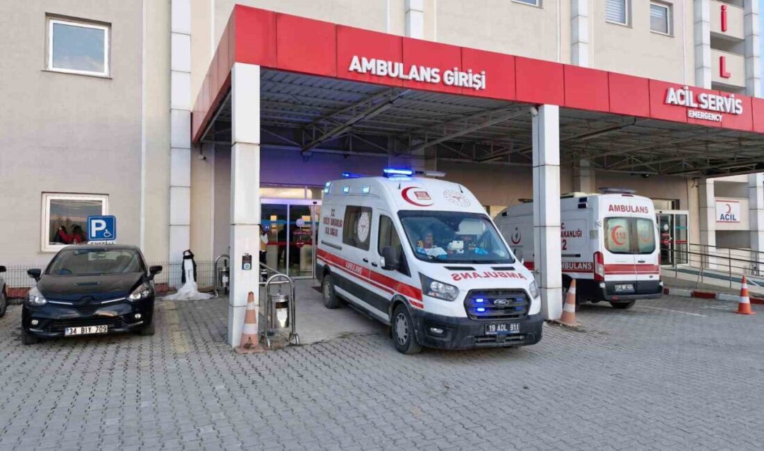 Çorum'un Alaca ilçesinde Vahdettin T. ile Gazi T. arasında çıkan
