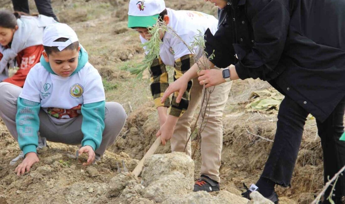 Çorum’da yüzlerce ıhlamur ve lavanta fidanı toprakla buluşturuldu Çorum'da düzenlenen etkinlikte Vali