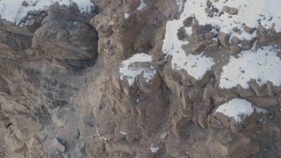 Doğanay Vural, Himalaya Dağları'nda 16 günlük macerasında Kar Leoparı'nı gözlemlemeyi