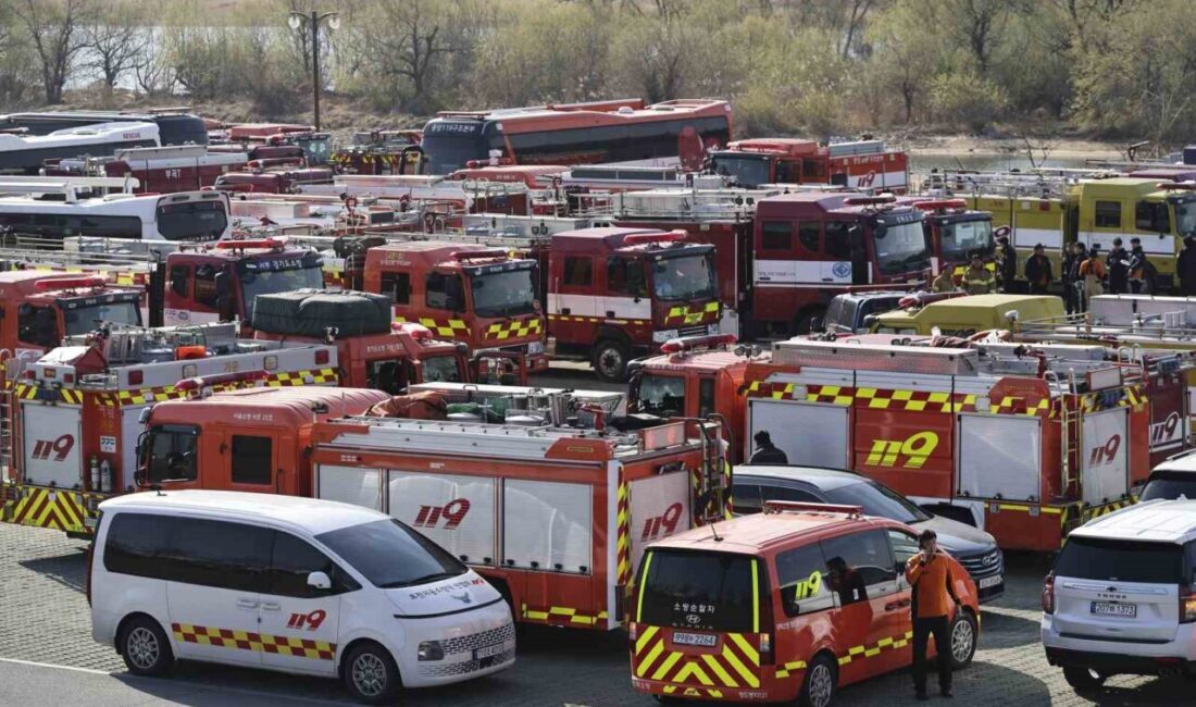 Güney Kore'de yeniden alevlenen orman yangınları 30 ölü ve 40