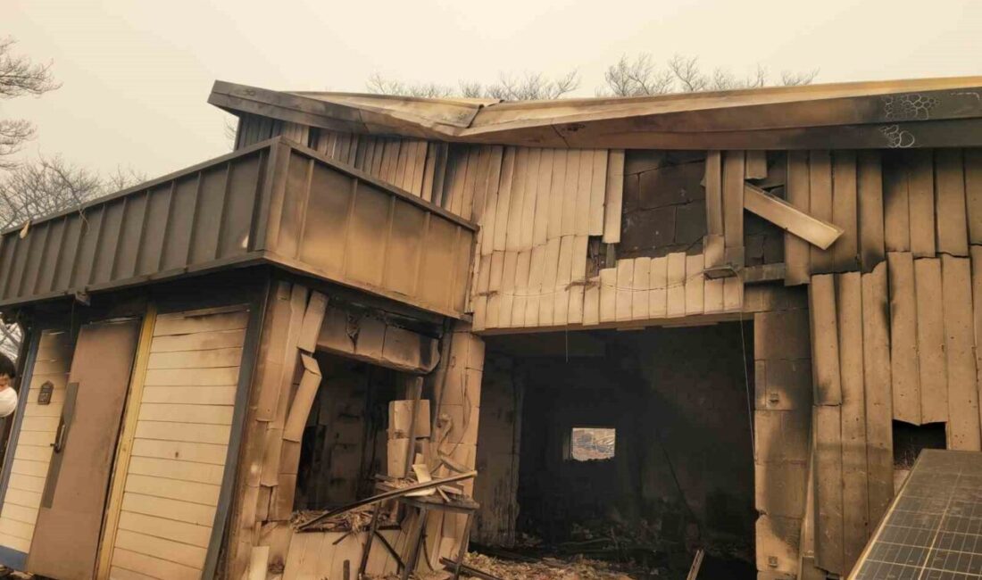 Güney Kore'deki orman yangınlarında 26 kişi hayatını kaybetti, 30 kişi