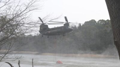 Japonya'nın Ehime ve Okayama eyaletlerindeki orman yangınları 4 gündür devam