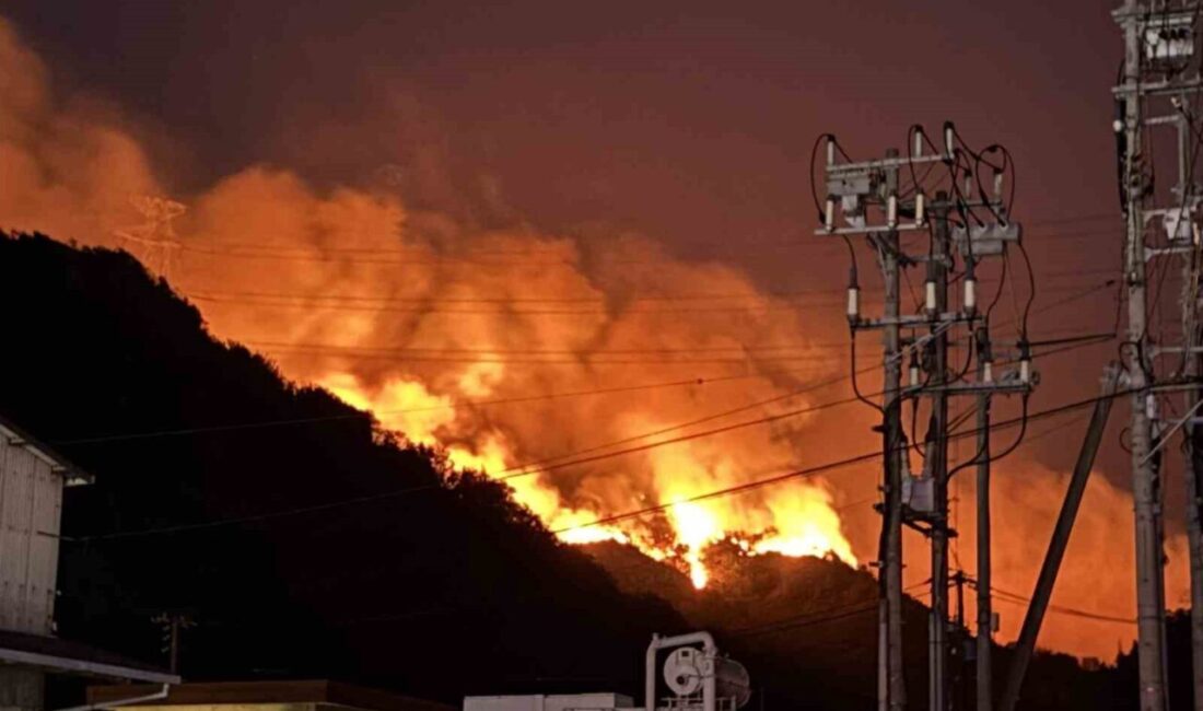 Japonya'da Okayama ve Ehime eyaletlerinde çıkan orman yangınları geniş bir