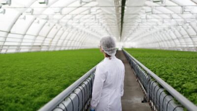 Yozgat’ta istihdama katkı sağlayacak önemli bir tarımsal proje hayata geçiyor.