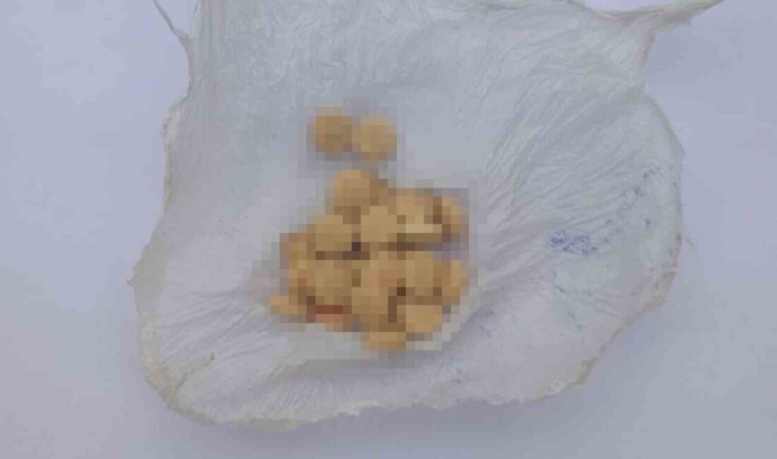 Kırıkkale’de uyuşturucu madde operasyonu: 2 gözaltı Kırıkkale'de jandarma operasyonu sonucu