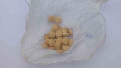 Kırıkkale'de jandarma operasyonu sonucu A.K. ve H.Ö. isimli iki şüpheli