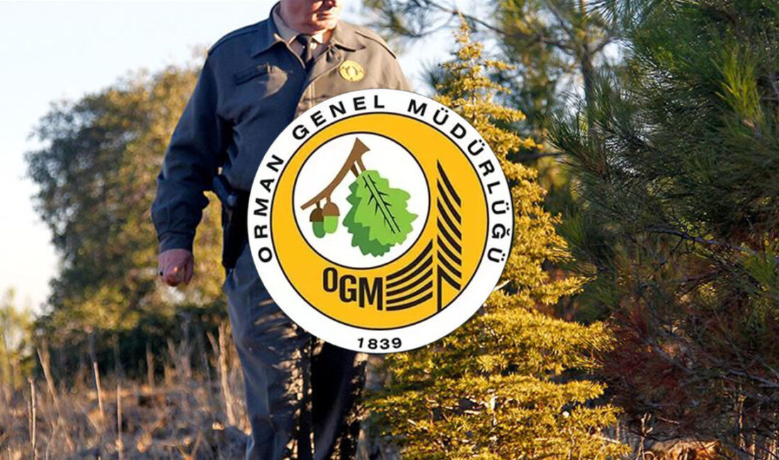 Orman Genel Müdürlüğü, çeşitli