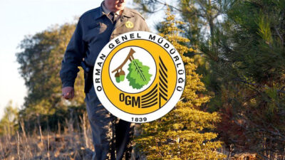 Orman Genel Müdürlüğü, çeşitli pozisyonlarda 4500 geçici işçi alımı yapacağını