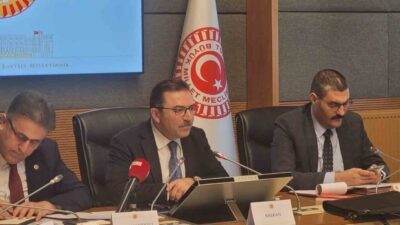 Çalışma ve Sosyal Güvenlik Bakanlığı Rehberlik ve Teftiş Başkanı Bekir