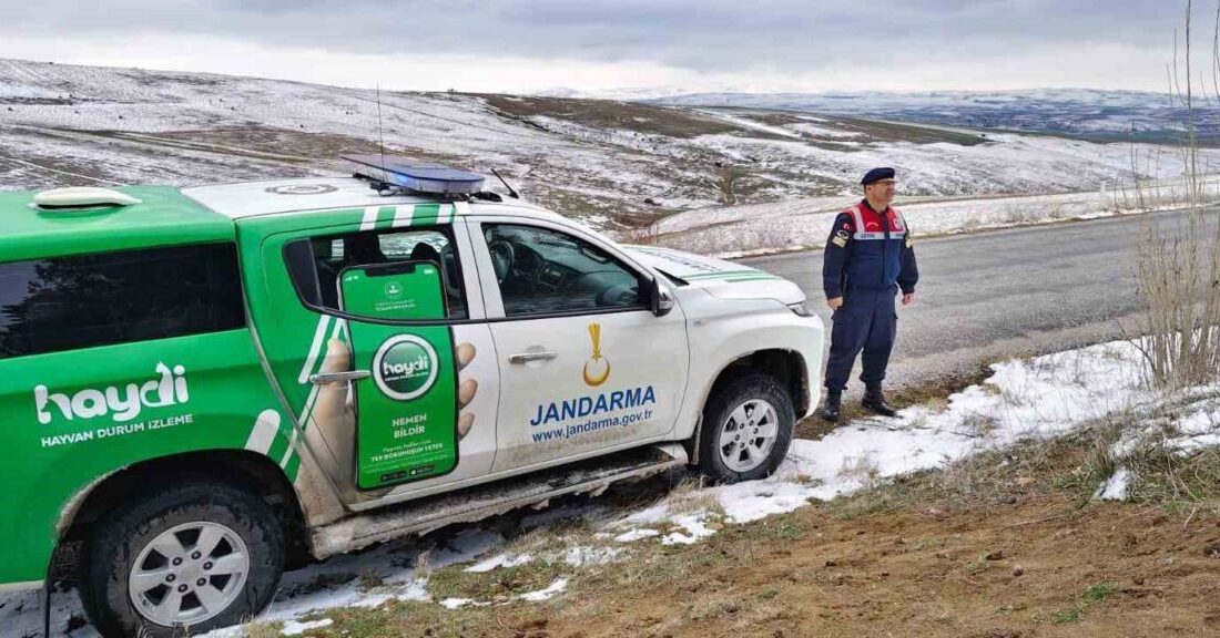 Sorgun’da Jandarma ekipleri, yaban hayvanlarının aç kalmaması için yem bıraktı.