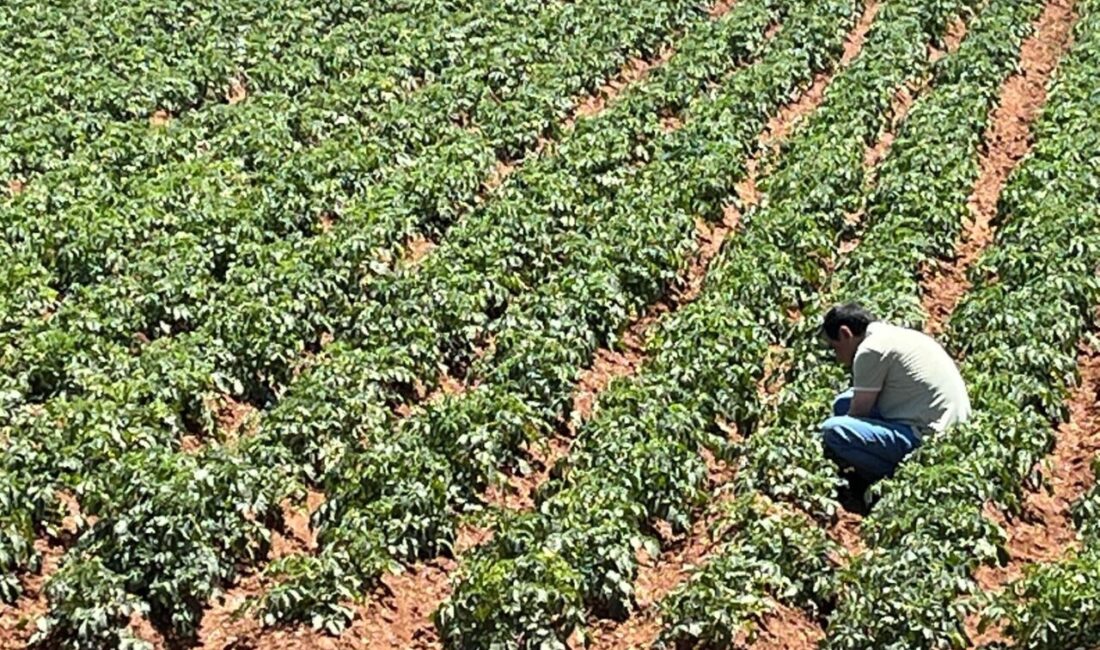 Tülin Akın, dünyanın ilk akıllı köyünü kuran ve Sahra Çölü'nde