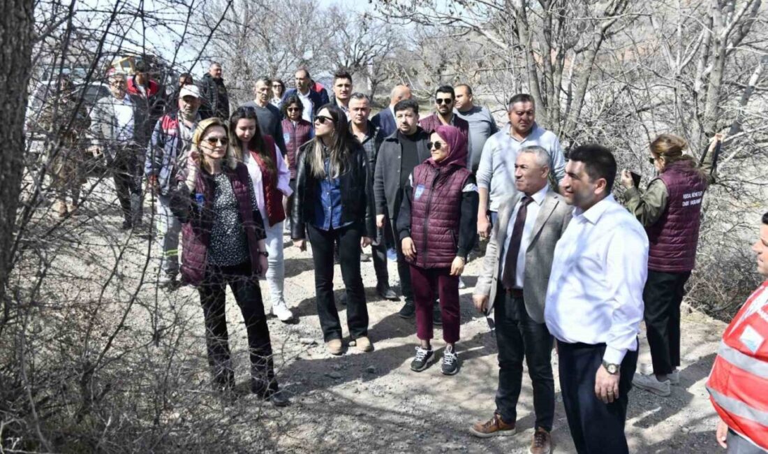 Ankara Büyükşehir Belediyesi, yabani sakız ağaçlarını antep fıstığına dönüştürme projesiyle