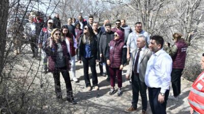 Ankara Büyükşehir Belediyesi, yabani sakız ağaçlarını antep fıstığına dönüştürme projesiyle