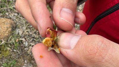 Yozgat İl Tarım ve Orman Müdürlüğü, son günlerde yaşanan ani