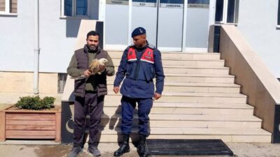Yozgat İl Jandarma Komutanlığı’na bağlı Yerköy İlçe Jandarma ekipleri, 13