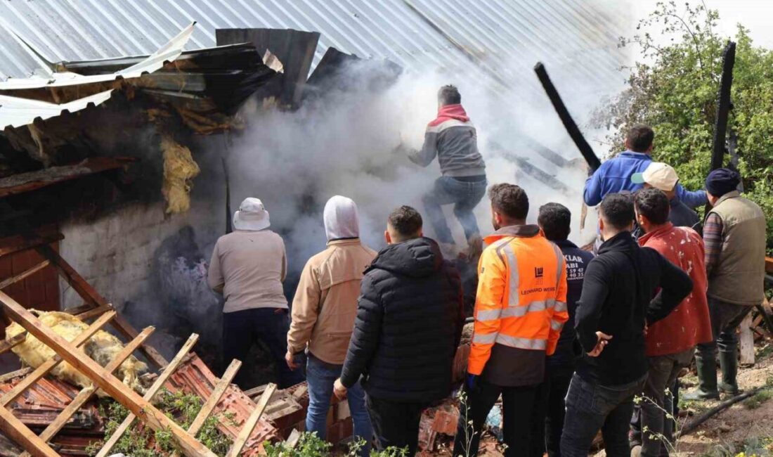 Yozgat'ın Saraykent ilçesinde çıkan ahır yangınında ahır kullanılamaz hale geldi.