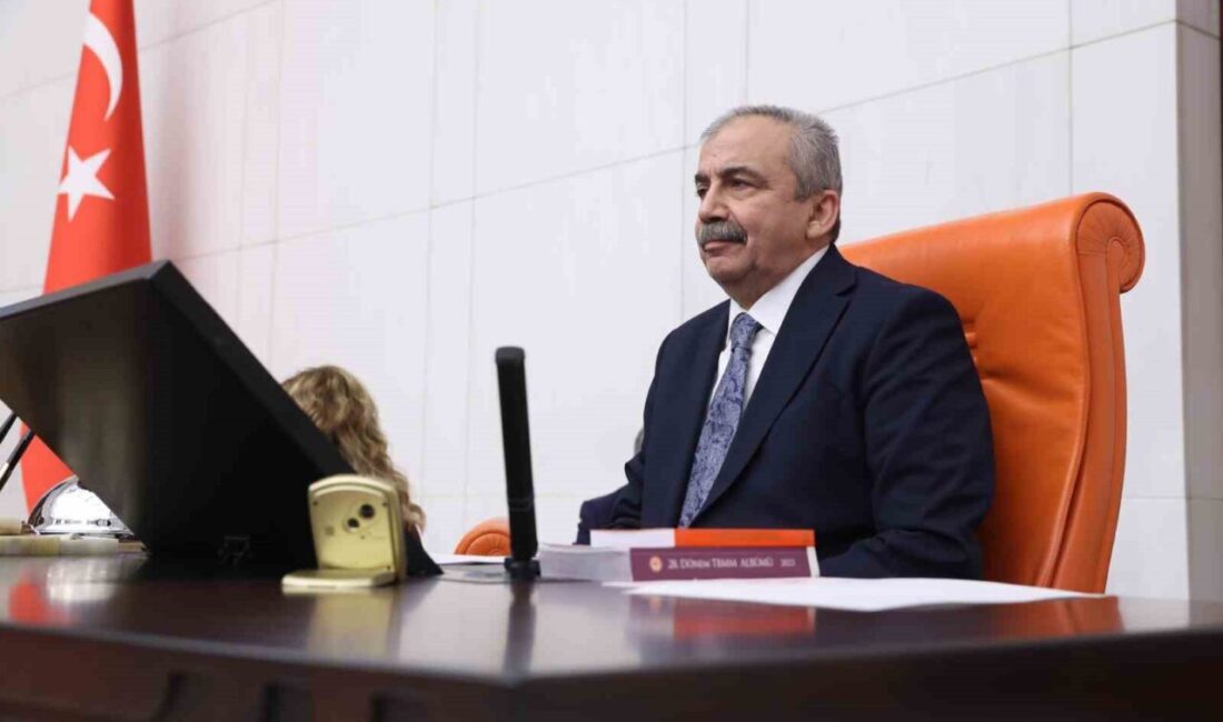 TBMM Başkanvekili ve DEM Parti İstanbul Milletvekili Sırrı Süreyya Önder'in