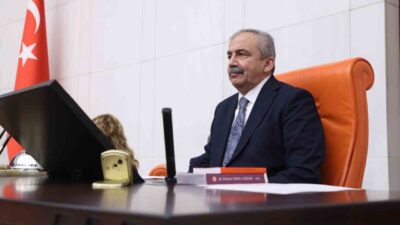 TBMM Başkanvekili ve DEM Parti İstanbul Milletvekili Sırrı Süreyya Önder'in