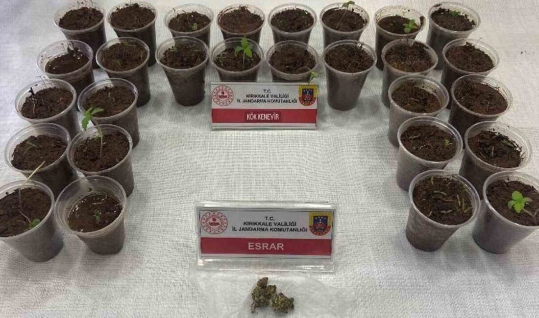 Bagajdan bardak bardak kenevir çıktı: Uyuşturucuyla yakalanan şüpheli tutuklandı Kırıkkale'de yapılan yol kontrolünde