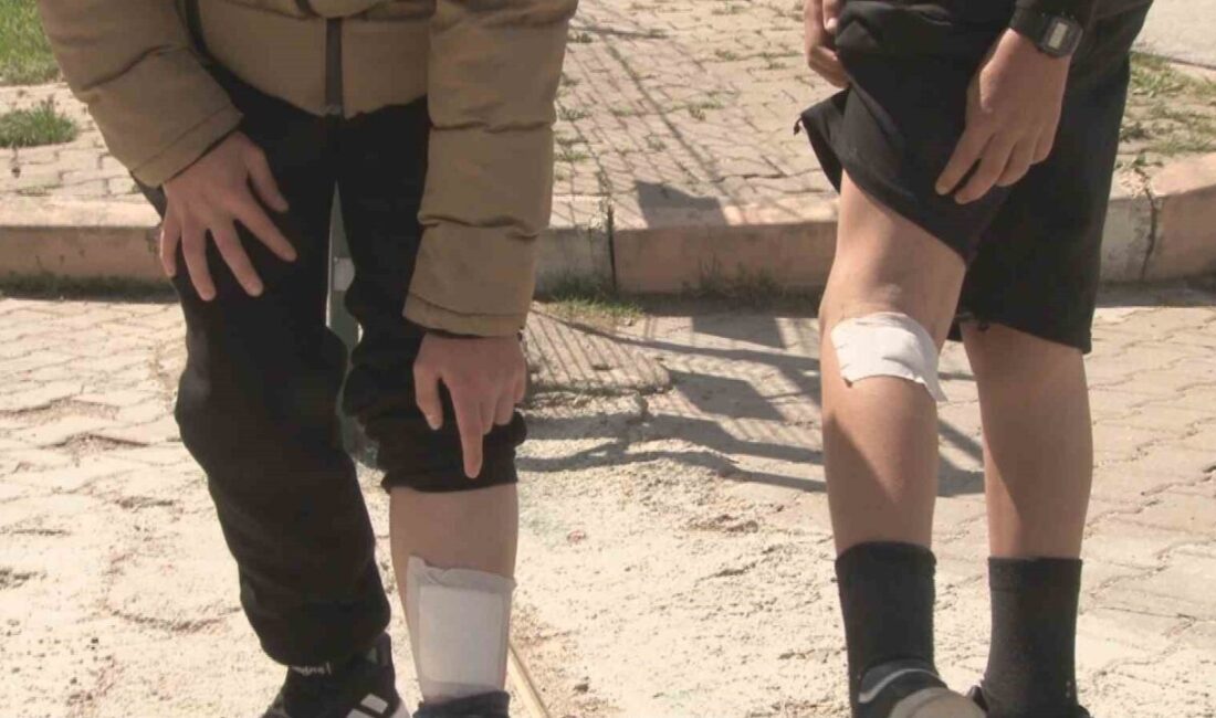 Çubuk ilçesindeki bir sitede sokak köpeklerini besleyen bir kadın, markete