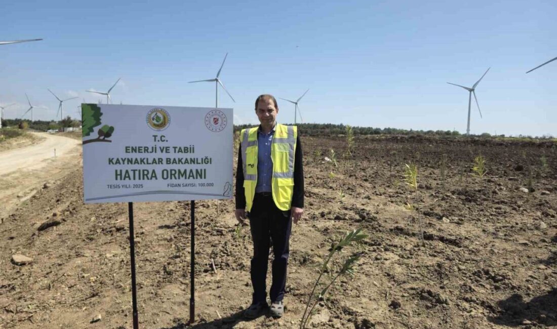 Enerji ve Tabii Kaynaklar Bakanlığı, Çanakkale'de 100 bin fidanlık hatıra