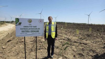 Enerji ve Tabii Kaynaklar Bakanlığı, Çanakkale'de 100 bin fidanlık hatıra