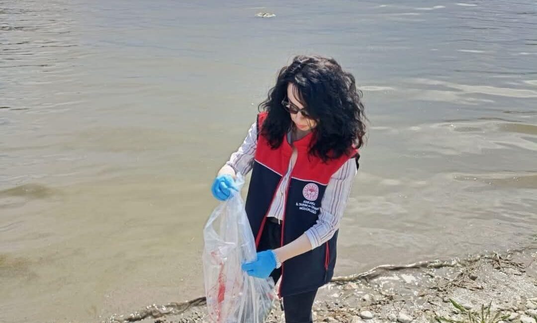 Nallıhan'daki Çayırhan Gölü'nde Ankara Tarım ve Orman İl Müdürlüğü öncülüğünde