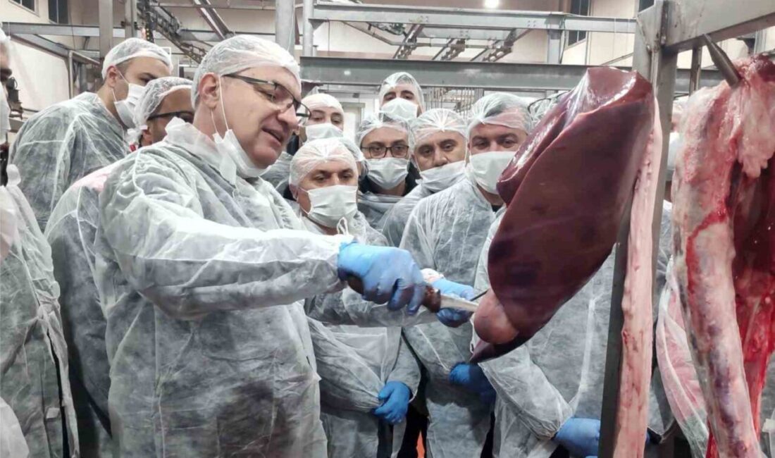 Çorum'da Tarım Müdürlükleri bünyesinde