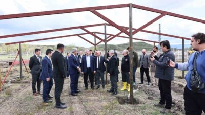 Çorum'da Sahipsiz Hayvanlar Koruma Birliği, atıklardan mama üretimi yapacak bir