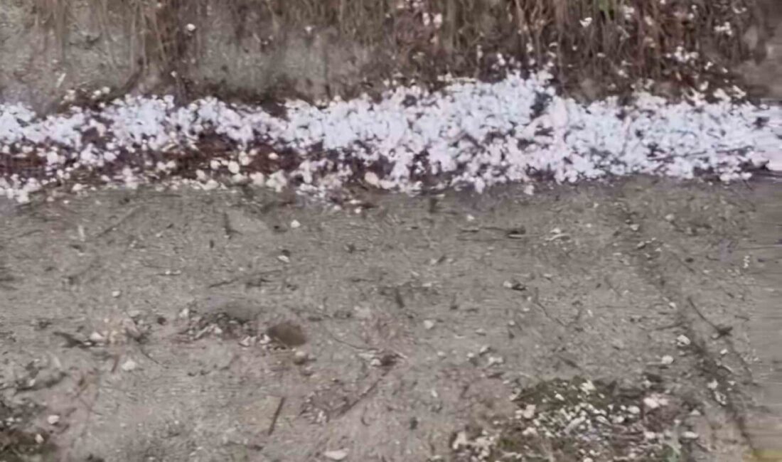 Çorum’da ceviz büyüklüğünde dolu yağdı Çorum'un yüksek kesimlerinde etkili