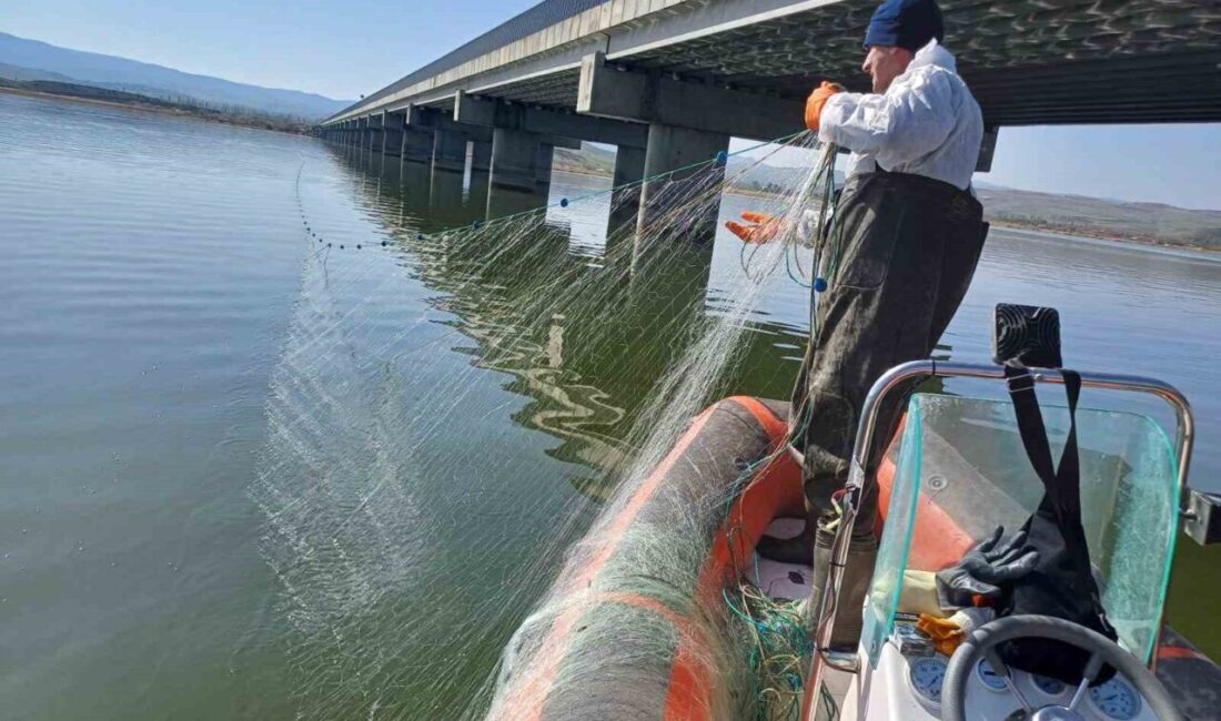 Çorum’da kaçak avcılığa geçit yok: Barajdan 2 bin 200 metre ağ çıktı Çorum'da kaçak balık avcılığını