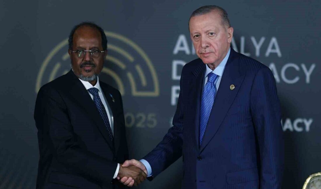 Cumhurbaşkanı Erdoğan, Somali Cumhurbaşkanı Mahmud ile Türkiye-Somali ilişkilerini görüştü. İş
