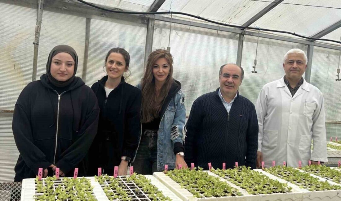 TÜBİTAK tarafından desteklenen projede OMÜ'den Dr. Şeyma Yücel başkanlığında fusarium