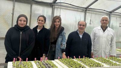 TÜBİTAK tarafından desteklenen projede OMÜ'den Dr. Şeyma Yücel başkanlığında fusarium