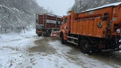 Çorum'un Cide ilçesinde doğalgaz tüpleri taşıyan bir tırın yolun karda