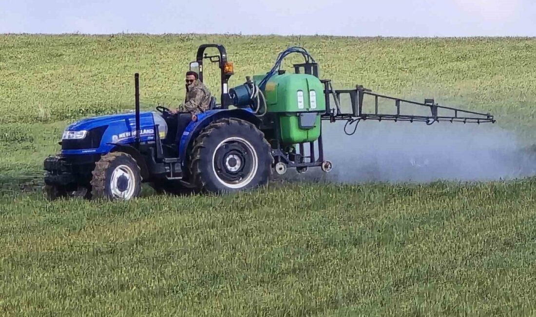 Yozgat'ta ani don olayı sonucunda çiftçiler büyük zararla karşı karşıya