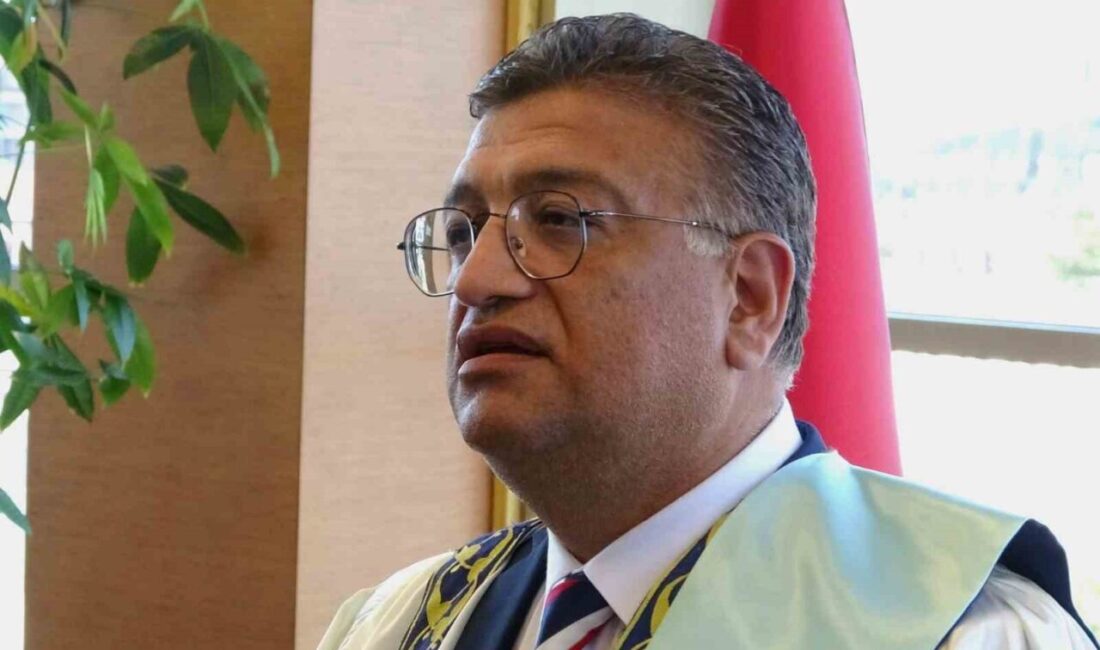 Kütahya Dumlupınar Üniversitesi Güzel Sanatlar Fakültesi, TÜBİTAK 2209-A'da büyük bir