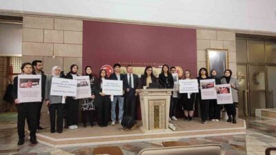 Ak Parti İstanbul Milletvekili Müşerref Pervin Tuba Durgut, Formula 1
