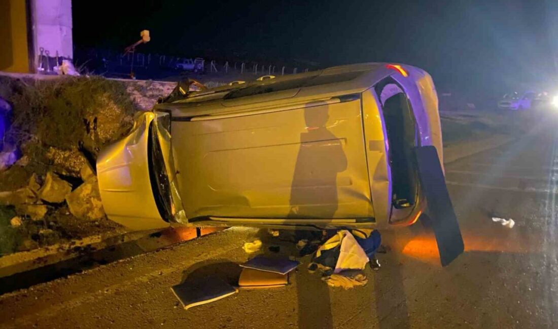 Haymana'da meydana gelen trafik kazasında 2 eşek yola çıkınca 4