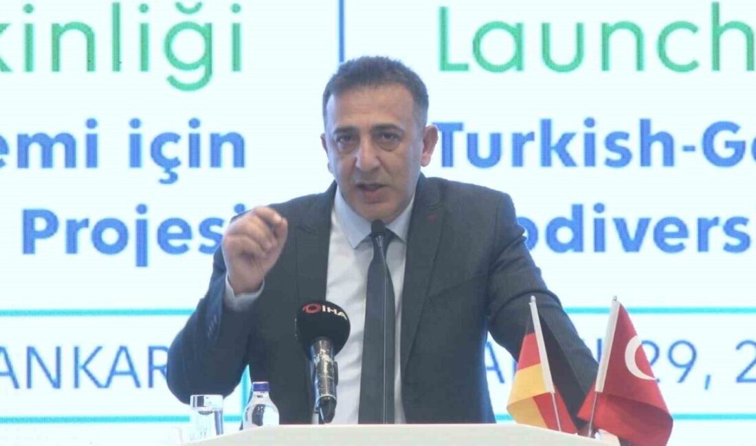 Türkiye'nin COP31 adaylığını açıklayan İklim Değişikliği Başkanı Halil Hasar, iklim