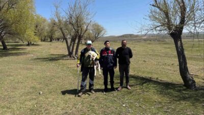 Yerköy'de Jandarma ekipleri buldukları kayıp küçükbaş hayvanı sahibine teslim etti.