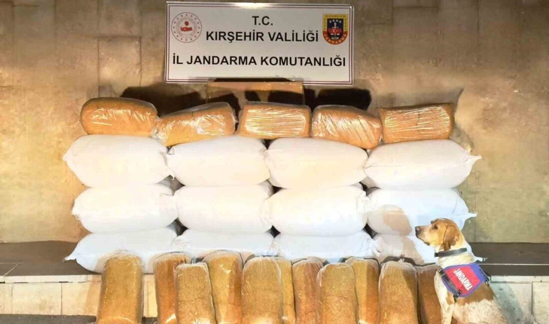 Kırşehir’de 633 kilo kaçak tütün ele geçirildi Kırşehir'de düzenlenen operasyonda Adapazarı'na