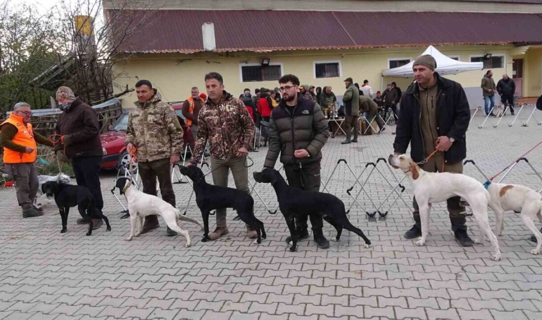 Sorgun'da düzenlenen köpek yarışması, Türkiye genelinden birçok yarışmacının katılımıyla gerçekleşti.
