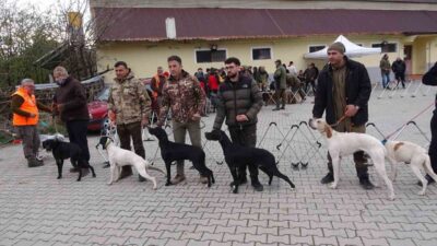 Sorgun'da düzenlenen köpek yarışması, Türkiye genelinden birçok yarışmacının katılımıyla gerçekleşti.