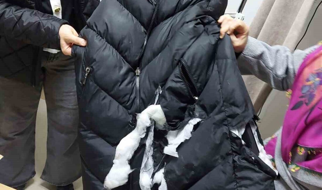 Ankara Elmadağ'da köpek saldırısına uğrayan H.D. isimli kadın yaralandı. Yaralı
