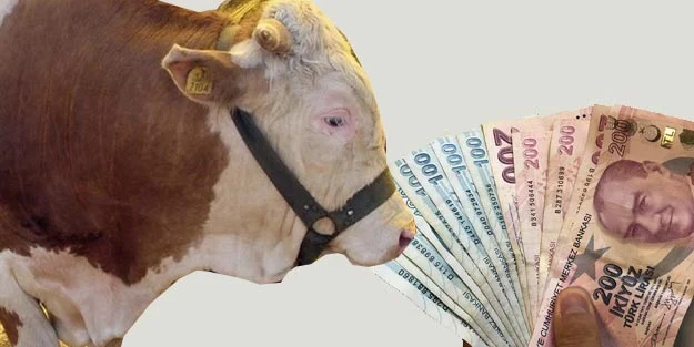 Kurban Bayramı 2025 yaklaşırken,